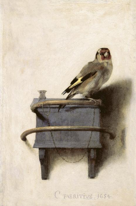 the goldfinch